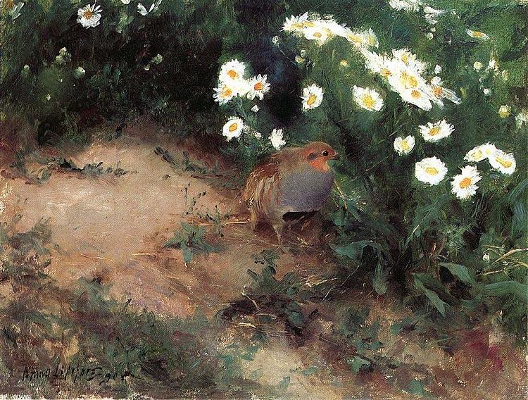 bruno liljefors Partridge with Daisies Norge oil painting art